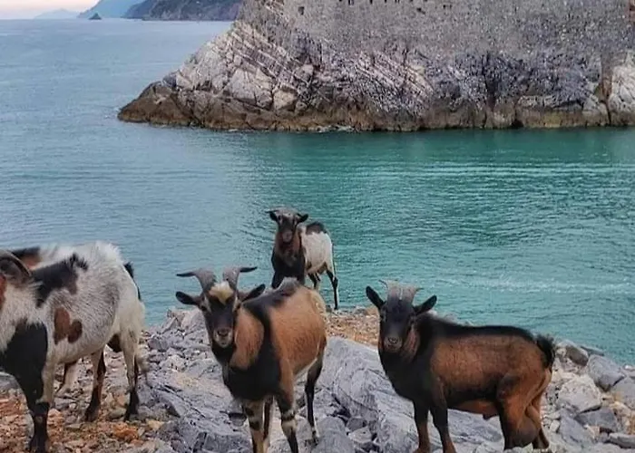 Lägenhet Rebecca House La Spezia